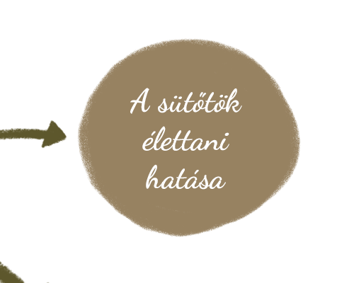 Sütőtök élettani hatásai