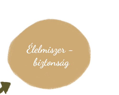 Élelmiszerbiztonság